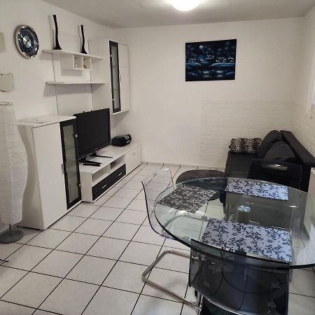 Ferienwohnung In Singen Am Hohentwiel - Seenah المظهر الخارجي الصورة
