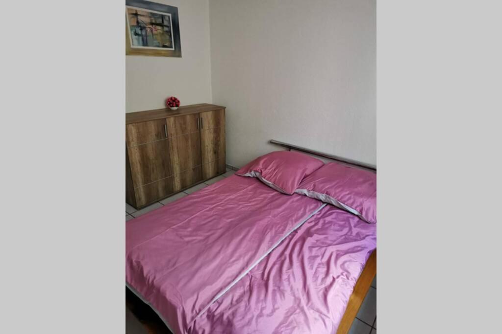 Ferienwohnung In Singen Am Hohentwiel - Seenah المظهر الخارجي الصورة