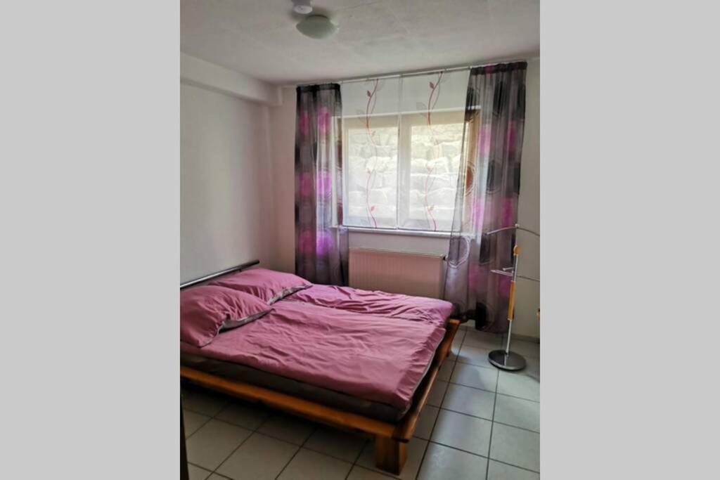 Ferienwohnung In Singen Am Hohentwiel - Seenah المظهر الخارجي الصورة